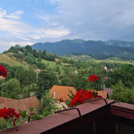 Vila Muntii Bucegi & Spa Bran  Zewnętrze zdjęcie