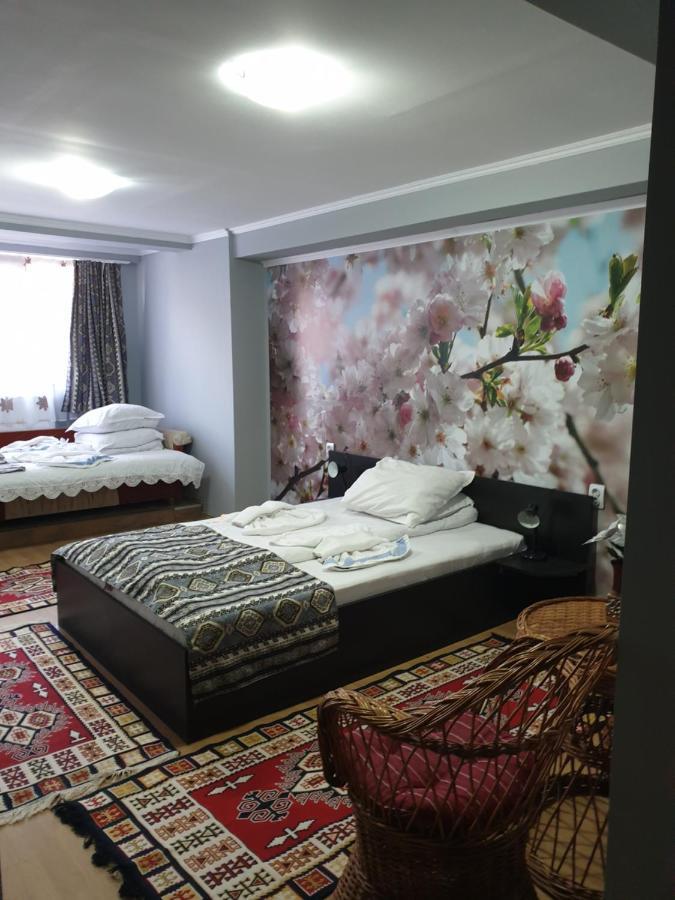Vila Muntii Bucegi & Spa Bran  Zewnętrze zdjęcie