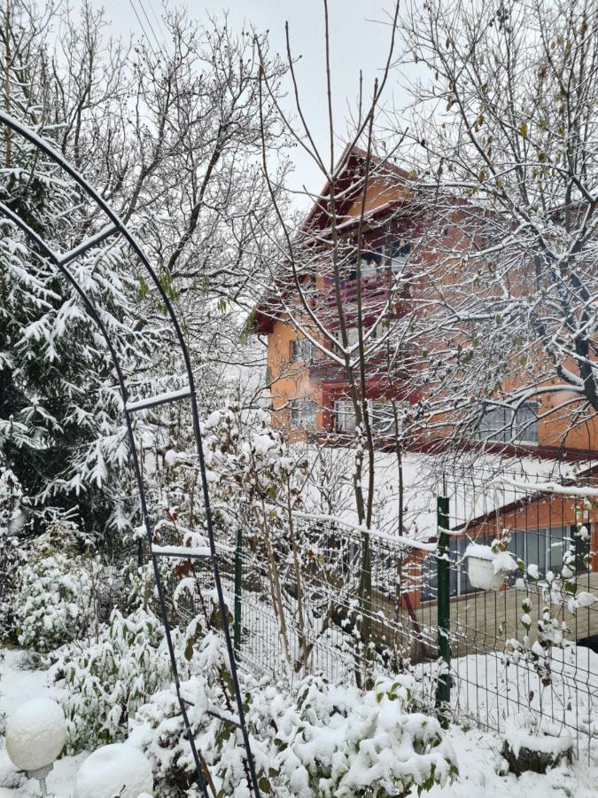 Vila Muntii Bucegi & Spa Bran  Zewnętrze zdjęcie
