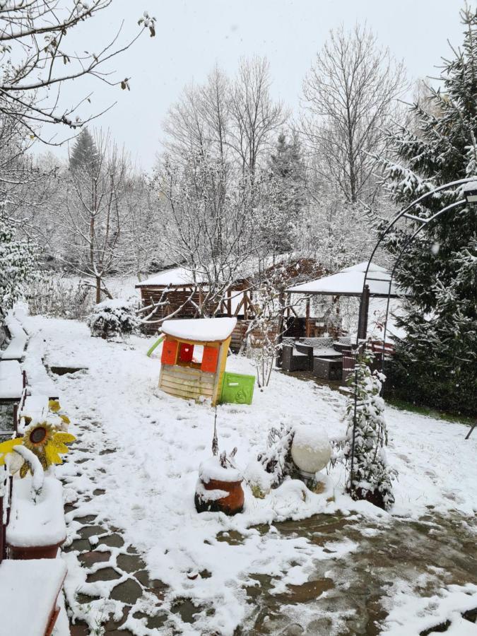 Vila Muntii Bucegi & Spa Bran  Zewnętrze zdjęcie