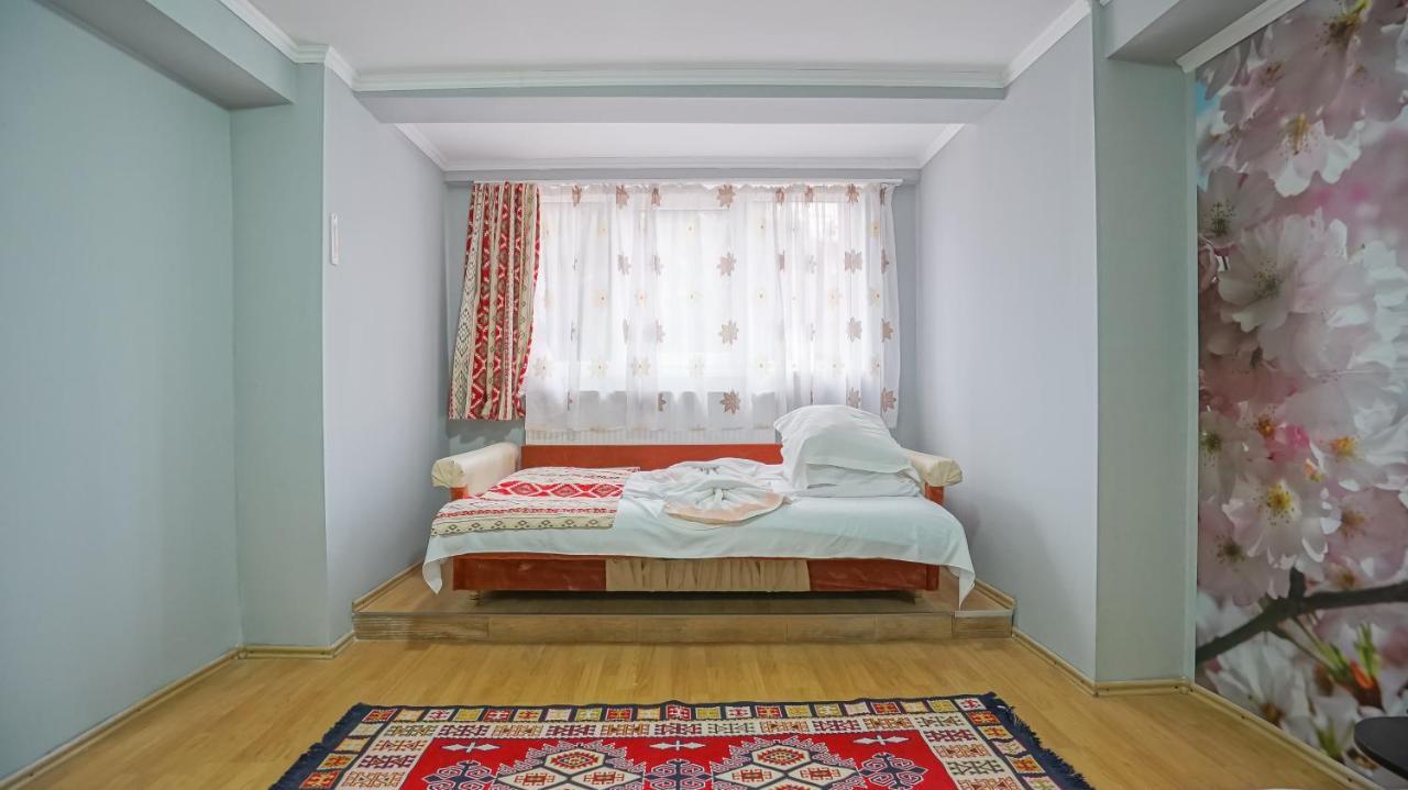 Vila Muntii Bucegi & Spa Bran  Zewnętrze zdjęcie