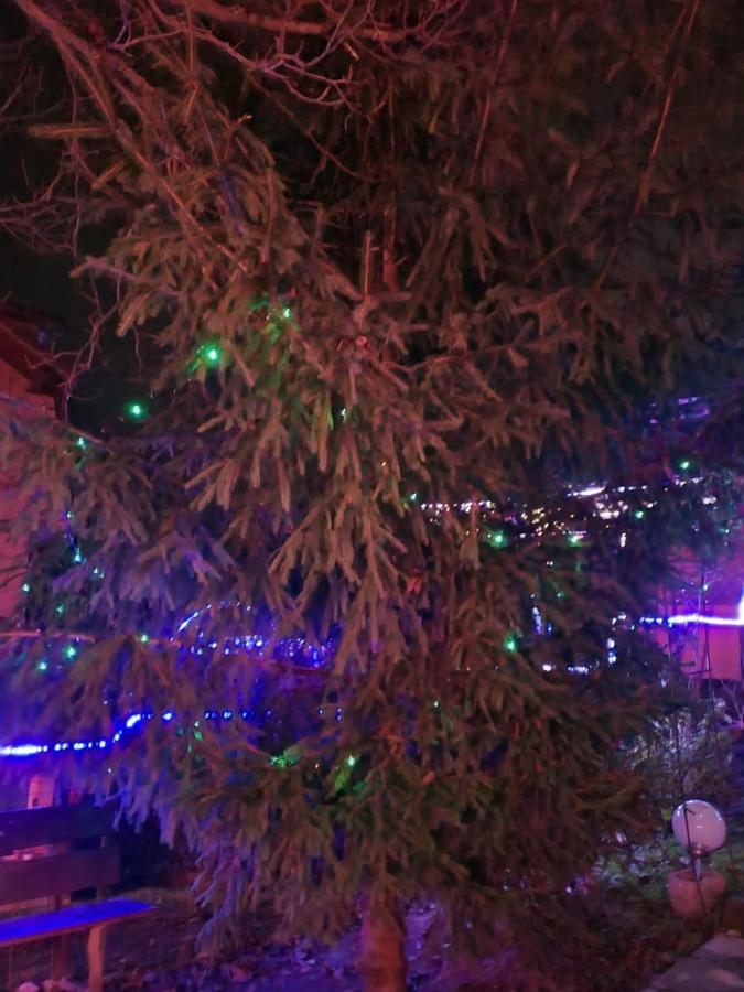 Vila Muntii Bucegi & Spa Bran  Zewnętrze zdjęcie