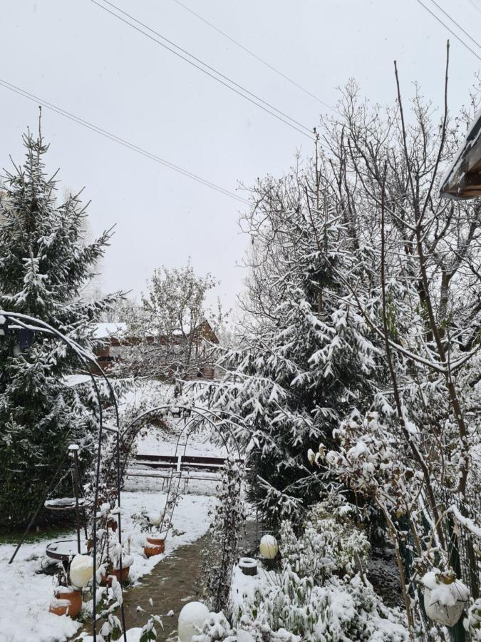 Vila Muntii Bucegi & Spa Bran  Zewnętrze zdjęcie