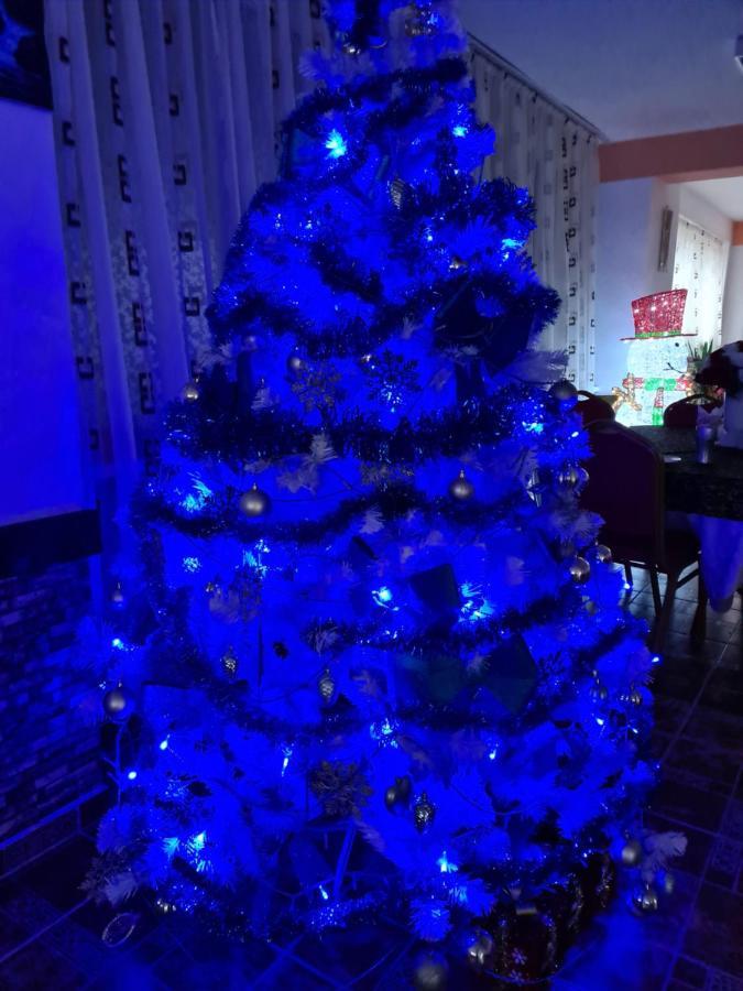 Vila Muntii Bucegi & Spa Bran  Zewnętrze zdjęcie