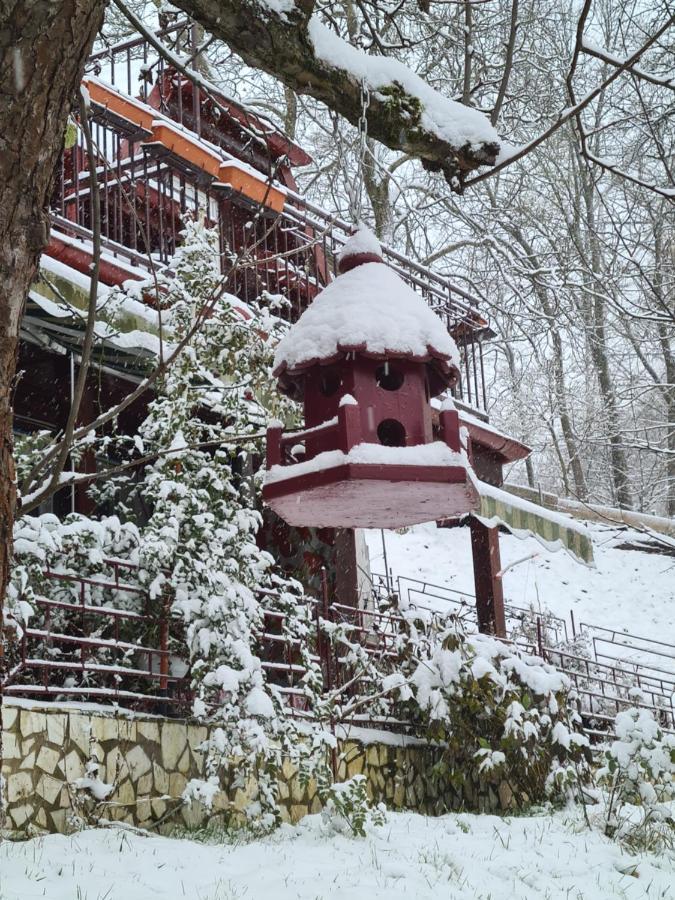 Vila Muntii Bucegi & Spa Bran  Zewnętrze zdjęcie