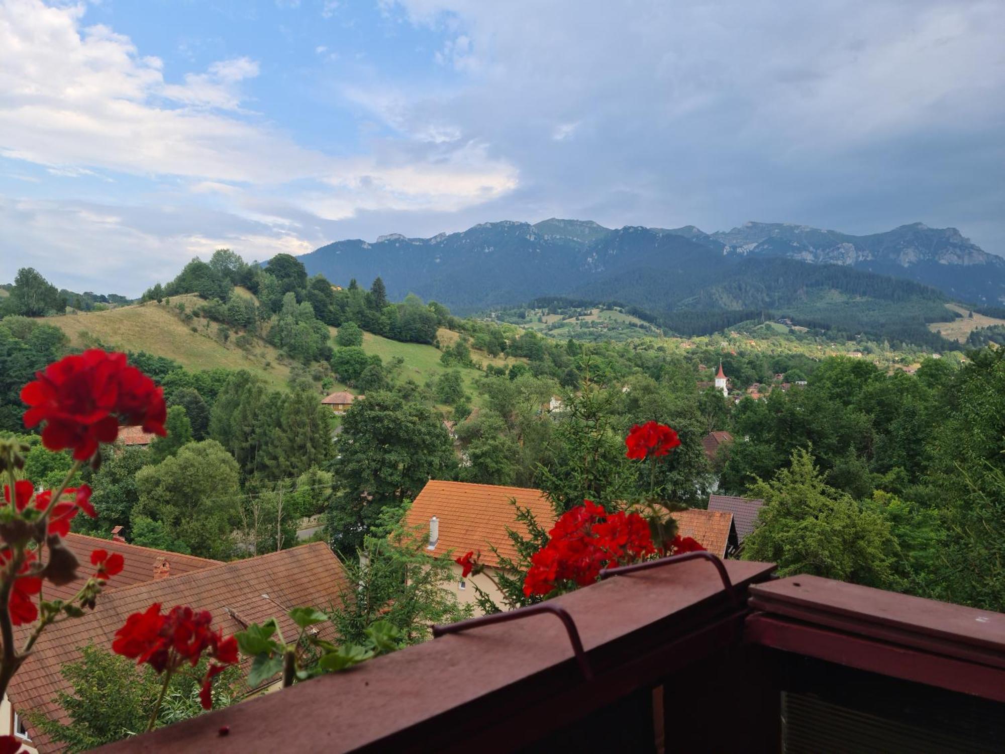 Vila Muntii Bucegi & Spa Bran  Zewnętrze zdjęcie