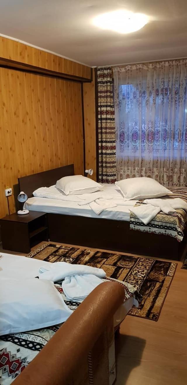 Vila Muntii Bucegi & Spa Bran  Zewnętrze zdjęcie