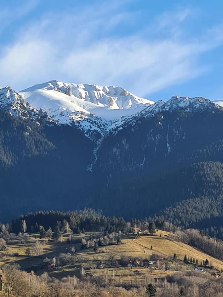 Vila Muntii Bucegi & Spa Bran  Zewnętrze zdjęcie