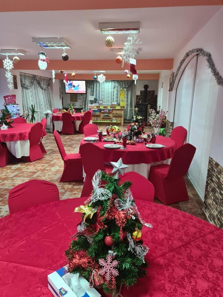 Vila Muntii Bucegi & Spa Bran  Zewnętrze zdjęcie