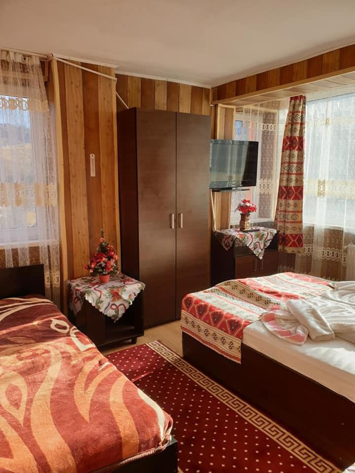 Vila Muntii Bucegi & Spa Bran  Zewnętrze zdjęcie