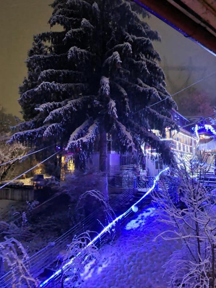 Vila Muntii Bucegi & Spa Bran  Zewnętrze zdjęcie