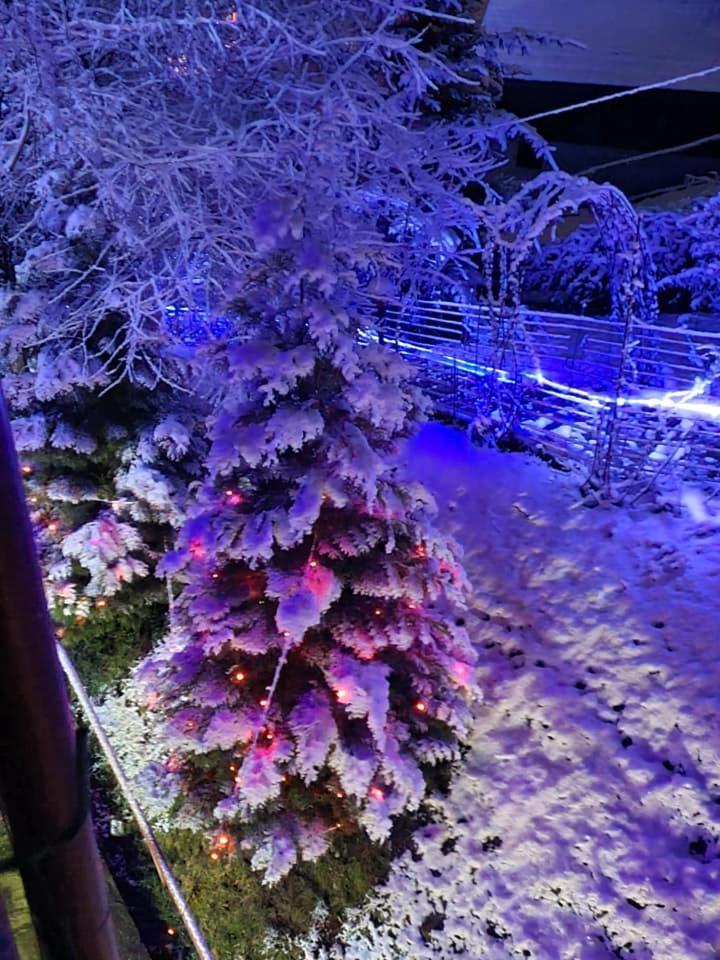 Vila Muntii Bucegi & Spa Bran  Zewnętrze zdjęcie